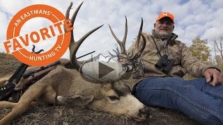 Perfect Typical 197 Muley  Wyoming Mule Deer Hunt with Mike Eastman [upl. by Retseh665]