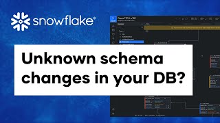 Mastering Snowflake Schema Monitoring [upl. by Llenrod570]