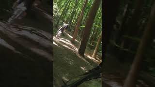 LA DH  AMAY  VTT ENDURO epic mtb enduro bikelover [upl. by Cigam]