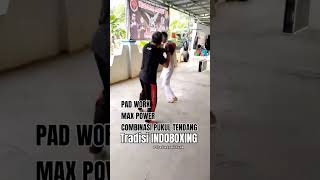 pad work drills maximum power indoboxing [upl. by Isied]