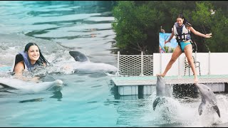 ASÍ ES NADAR CON DELFINES en Varadero 🇨🇺 Caídas miedo y más [upl. by Diandra]