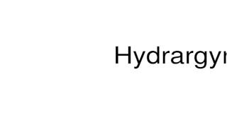 How to pronounce Hydrargyrum [upl. by Nallac]