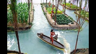 Chinampas The Aztec floating agriculture [upl. by Einahpets355]