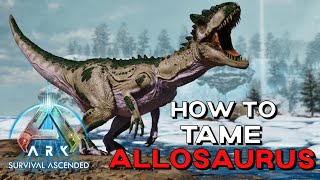 ARK Survival Ascended  How To Tame ALLOSAURUS Trap for EASY Taming [upl. by Naibaf]