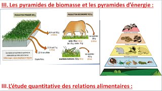 étude quantitative des relations alimentaires SVT TCSF les pyramides de biomasse 3 شرح بالداريجة [upl. by Cordier571]