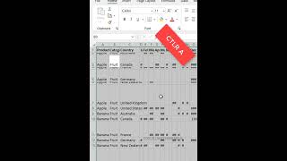 Format Setting Shortcuts in excel [upl. by Jordans612]