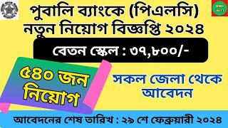 Pubali Bank Job Circular 2024 PLC  পুবালি ব্যাংকে বিশাল নিয়োগ [upl. by Latashia]