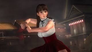 DEAD OR ALIVE 5 Last Round LEIFANG VS HITOMI COM 7 01 [upl. by Birchard]