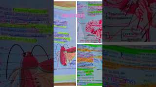 neet dropper motivation dream MBBS neet2025 [upl. by Mastrianni]