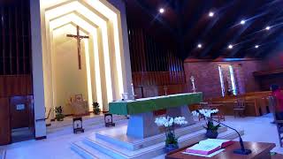 St Raymond Menlo Park Live Stream [upl. by Enowtna]