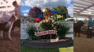 Thursday Livestock Sale  Columbiana County Fair 2024 [upl. by Gairc]