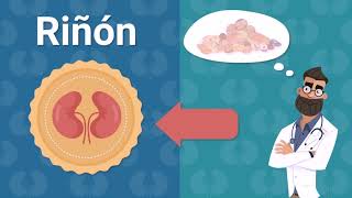 Conoce más micotoxinas con Sanfer Salud Animal [upl. by Carlin]