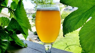 Brewing a Hoppy Wheat Ale [upl. by Clardy]