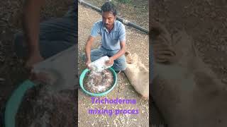 trichoderma mixing demo [upl. by Rubinstein]