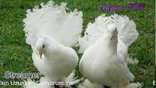 Dejavu🕊 FM • Canlı İstek Yayını  Online Radyo Dinle [upl. by Stander494]