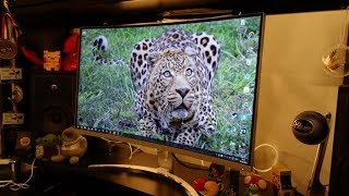 Acer ED273 review  27quot 1080p curved VA monitor  By TotallydubbedHD [upl. by Aicatan554]