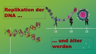 Vedopplung Replikation der DNA Zellbiologie Vorlesung 9 with english subtitles [upl. by Isteb209]