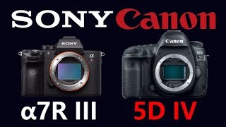 Sony a7R III vs Canon EOS 5D Mark IV [upl. by Annairol]