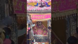 Banke Bihari Mandir Ki Live Aarti  Banke Bihari Temple Vrindavan Live Darshan Today [upl. by Eliot]