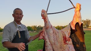 How to Harvest every part of Grass Fed Beef on the Farm [upl. by Ttereve624]