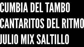 CUMBIA DEL TMBO  CANTARITOS DEL RITMO  JULIO MIX SALTILLO [upl. by Atekram987]