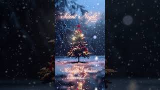 Silent Night peacefulmusic christmas christmasmusic snow xmas snow piano pianomusic [upl. by Hokanson16]