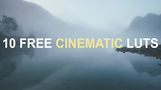 10 Cinematic Luts  Color Grading  How to apply Luts in Adobe Premiere Pro [upl. by Keller]