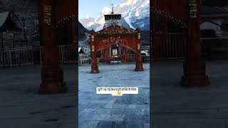 Suni padi kedarnath kedarnath bholenath trending shiv youtubeshorts shortsfeed youtube shiv [upl. by Eelta]