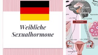 Weibliche sexualhormone und polyzistische ovarialsyndrom [upl. by Barr]