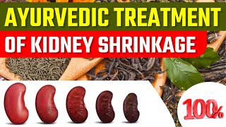 Ayurvedic Treatment Of Kidney Shrinkage [upl. by Galasyn]