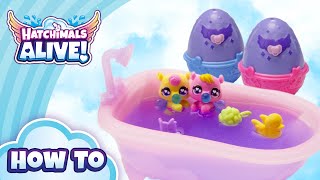 Hatchimals Make a Splash Playset  How to Use  Toys for Kids [upl. by Lienhard312]