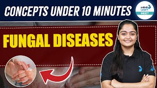 Fungal Diseases Human Health amp Disease  Quick Revise  NEET 2025  Class 12 Biology  TANIA MAAM [upl. by Ayhtin844]