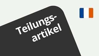 Formen des Teilungsartikels kennenlernen  Französisch  Grammatik [upl. by Nnil]