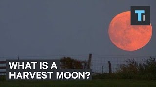 Here’s what a harvest moon actually is [upl. by Lulu94]