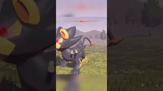 daily shiny hunting clips pokemonlegendsarce [upl. by Yllaw]