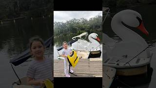 Parramatta row boats sydney 🛥️ schoolholiday sydney family [upl. by Cline]