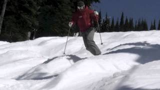 Telemark Bumps [upl. by Elleinod]