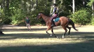 Ella Mildon Aspen Farms Horse Trials September 2016 [upl. by Eletnahs]