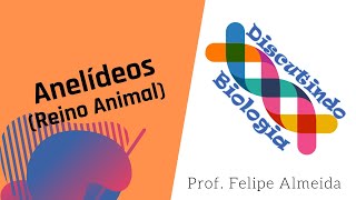 Aula de Anelídeos  Filo annelida  Prof Felipe Almeida [upl. by Assena]