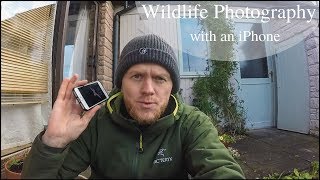 How to Photograph Wildlife with an iPhone  Tips and Tricks [upl. by Homans]