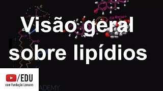 Visão geral sobre lipídios  Macromoléculas  Biologia  Khan Academy [upl. by Anyotal]