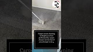 Get The Best Carpet Steam Cleaning in Brighton [upl. by Buell]