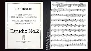 Gariboldi No2  30 Easy and progressive studies for flute [upl. by Herta555]