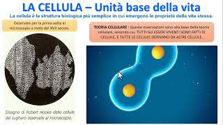 LA CELLULA  Unità base della vita [upl. by Ahsieyn]