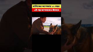 মালিকের অপেক্ষায় ১২ বছরএই গল্প আপনাকেও কাঁদাবেpalmadogshortvideo shorts explaininbangla [upl. by Akemrej]