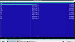 The Gods Must Be Crazy FreeBSD Debian linux jail  vnet  IPv6  remote access via ssh [upl. by Leotie617]