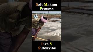 How Salt is Made From Ocean to Table  Inside the Salt Making Process [upl. by Gnov]