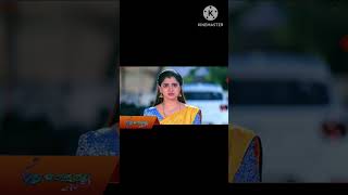 Pudhu Vasantham Serial Promo 30 Nov Badris Review shorts viralvideo [upl. by Einniw]