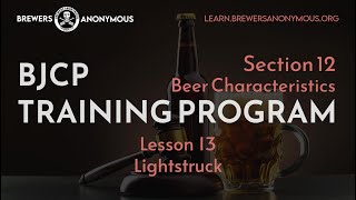 BJCP Training Section 12 Beer Characteristics  Lesson 13  Lightstruck [upl. by Aehsal209]