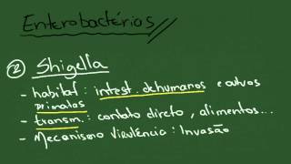 Enterobactérias 1 Shigella Salmonella Yersinia  Resumo  Microbiologia [upl. by Jacie543]